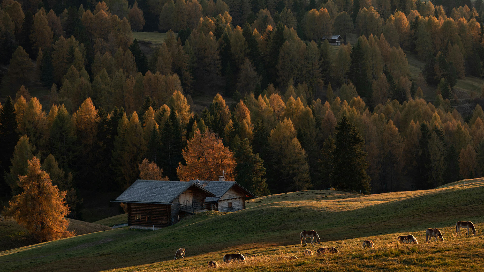 Vorteilswochen Herbstlich willkommen
