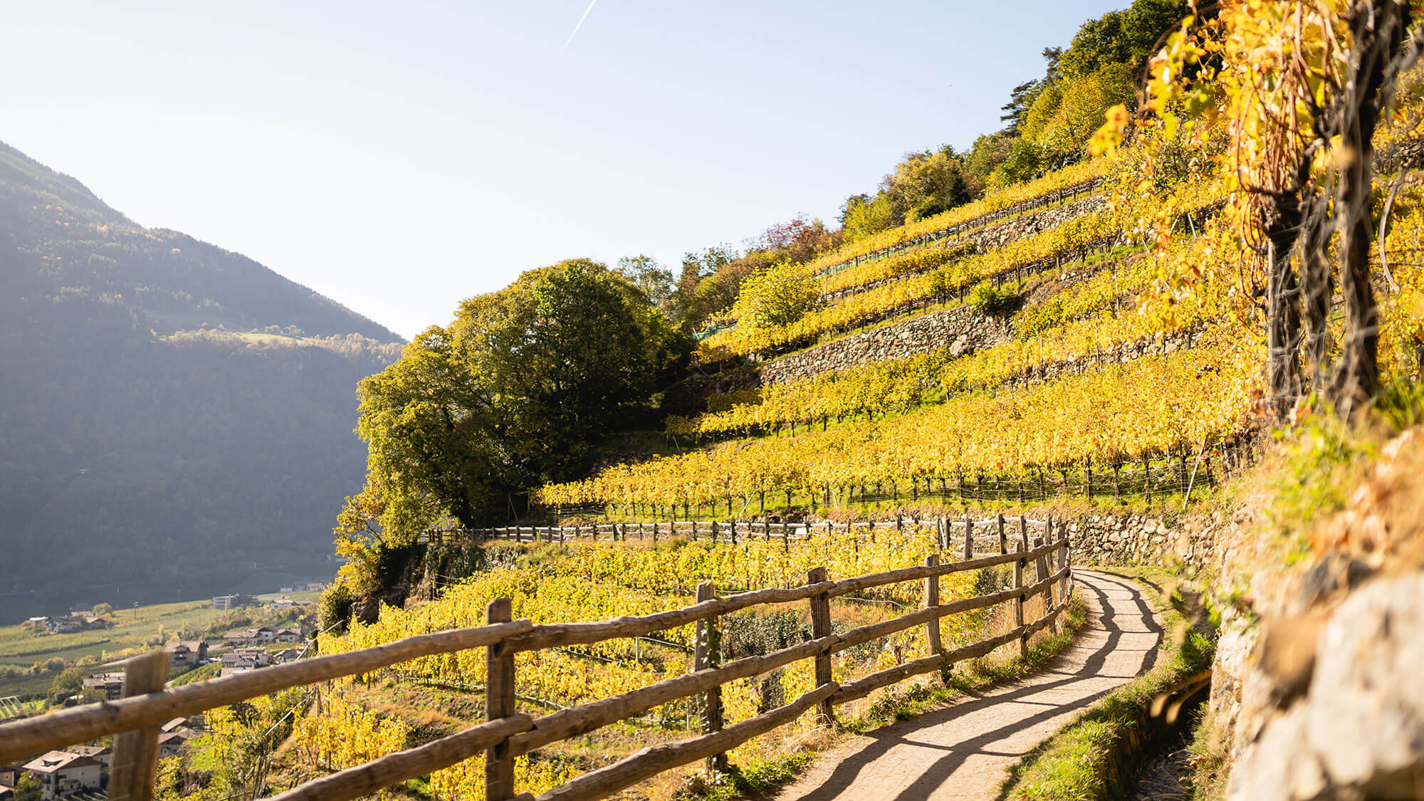 Vorteilswochen Herbstlich willkommen