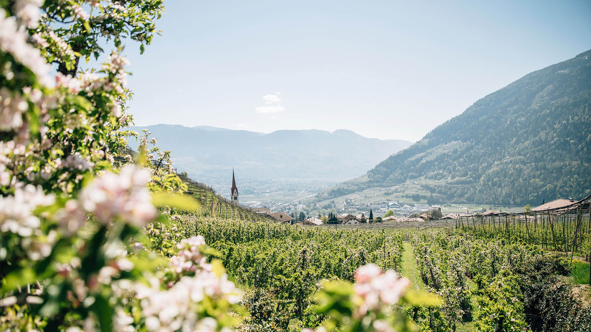 Start in den Frühling
